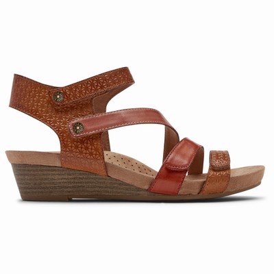 Sandálias Rockport Cobb Hill Hollywood 4-Strap Mulher Marrom PT-47615